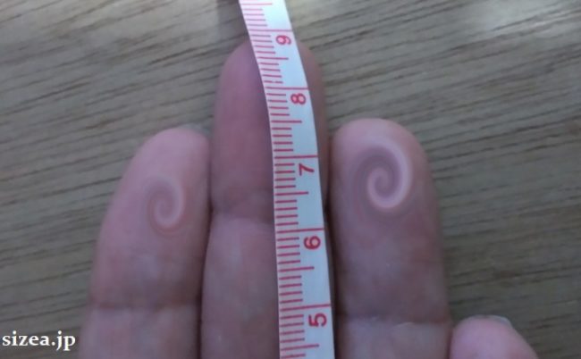 手のサイズの平均 日本人のサイズと測る場所 測り方 サイズ Jp